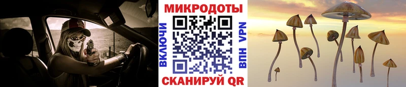 закладка Лукоянов Псилоцибиновые грибы MAGIC MUSHROOMS